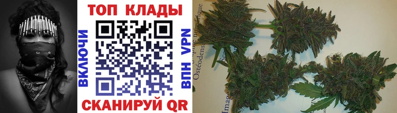 Где купить наркотики Стерлитамак Кокаин  Галлюциногенные грибы  Меф  ГАШ  МАРИХУАНА 