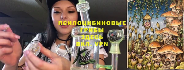 хмурый Абинск