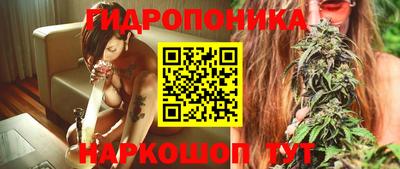 ECSTASY Тверь