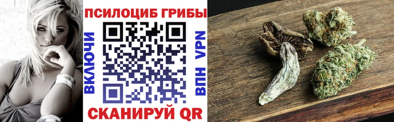Галлюциногенные грибы GOLDEN TEACHER  Стерлитамак 