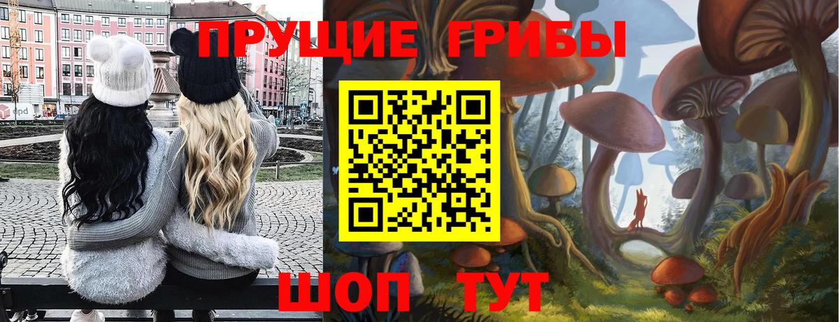 Стерлитамак  Галлюциногенные грибы MAGIC MUSHROOMS  Вход с VPN 