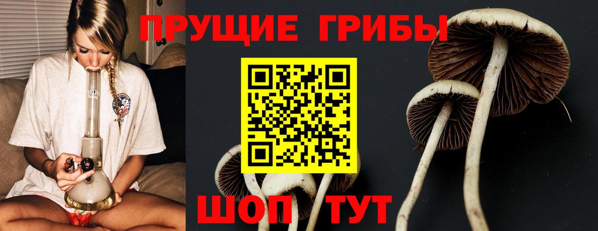 Псилоцибиновые грибы прущие грибы Стерлитамак